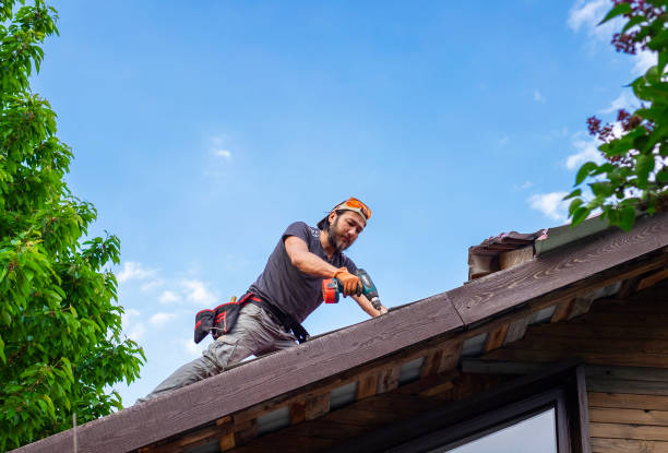 Trusted Edgerton, KS Roofing services Experts
