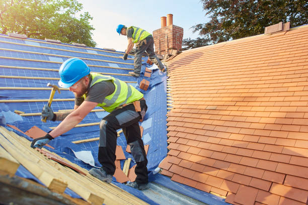 Best Metal Roofing Installation  in Edgerton, KS